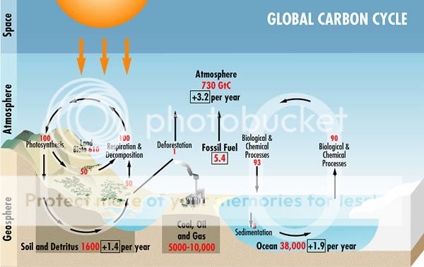 carbon_cycle.jpg