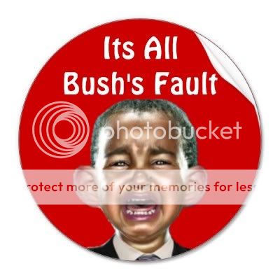 its_all_bushs_fault_sticker-p217039.jpg
