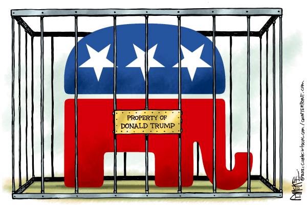 caged-elephant.png