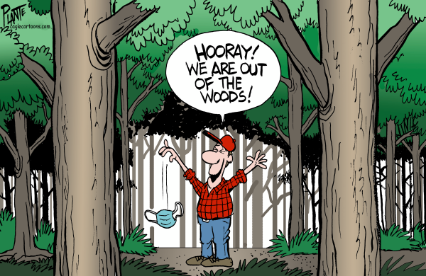 out-of-the-woods.png