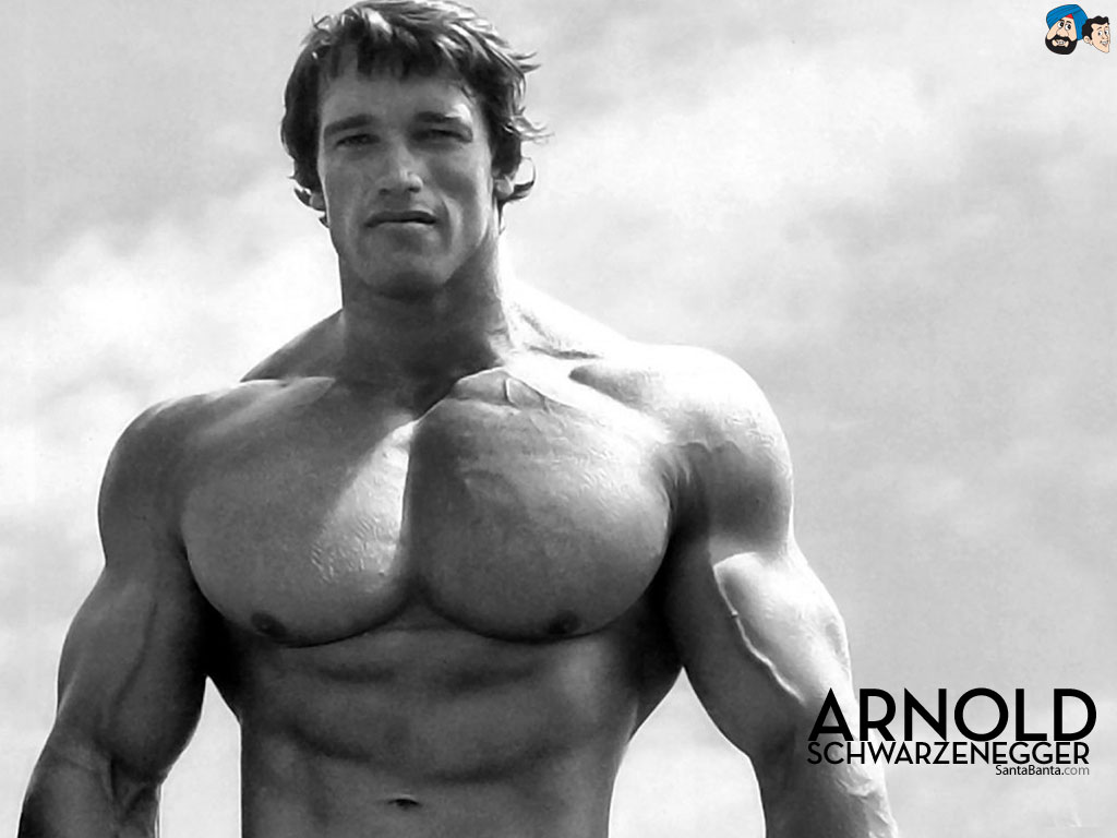 arnold-schwarzenegger-9a.jpg