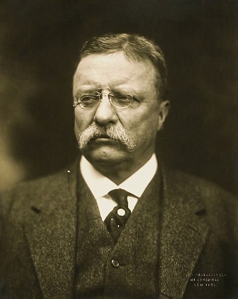 473px-T_Roosevelt.jpg