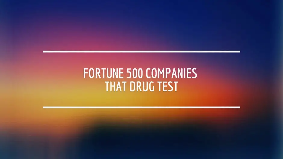 www.drugtestpanels.com