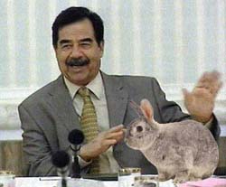 saddam-and-rabbit.jpg