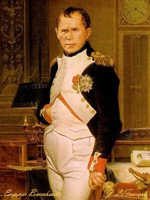 napobush_johnlefrancois.jpg